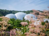 Award-winning wildlife photography exhibition returning to Eden