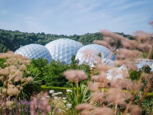 Award-winning wildlife photography exhibition returning to Eden
