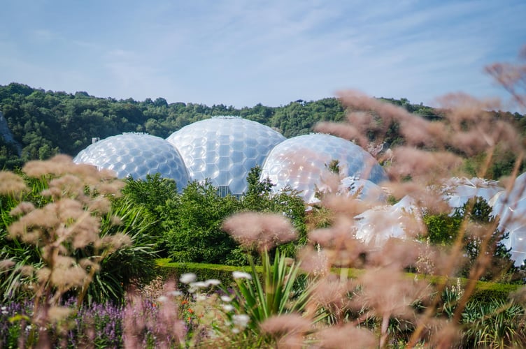Eden Project - James Street.
