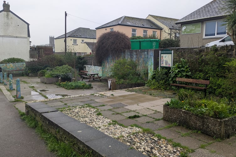 Crantock Street community garden is in need of a makeover (Picture: Warren Wilkins)