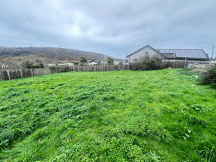 Plans to build homes refused 