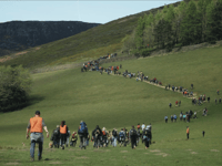 Get free cinema tickets to see Our Land 