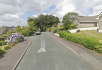 Man sentenced for biting police officer