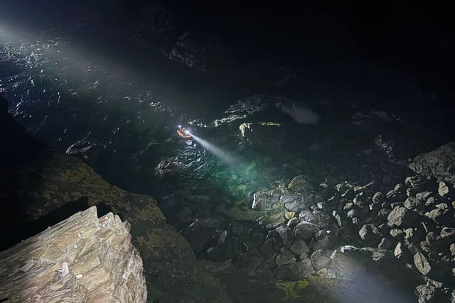 Dog rescued after falling from cliff