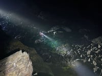 Dog rescued after falling from cliff