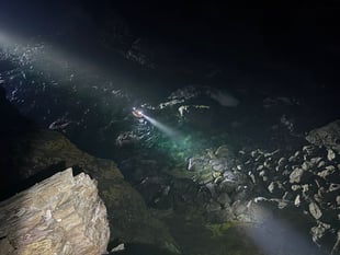 Dog rescued after falling from cliff