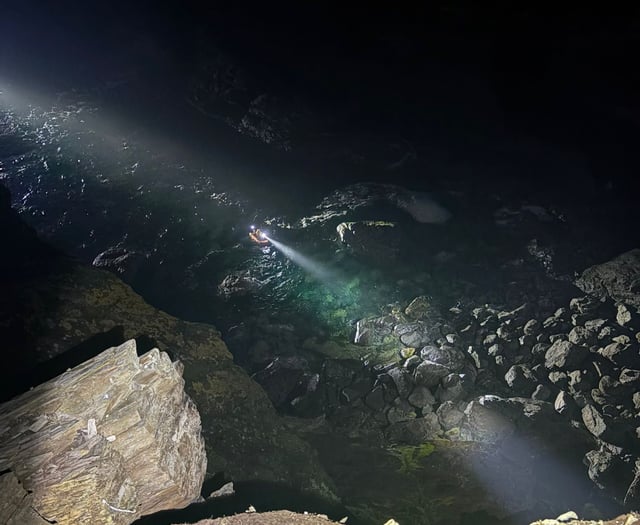Dog rescued after falling from cliff