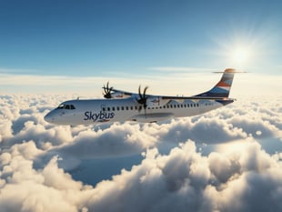 'No licence, no planes, no pilots' claim shot down in flames