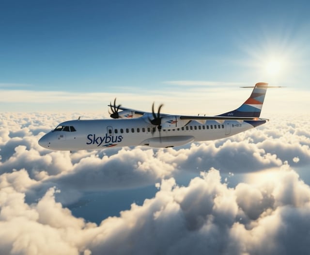 'No licence, no planes, no pilots' claim shot down in flames