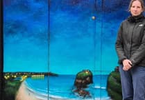 Renowned artist crowned winner of door art initiative
