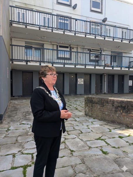 Torpoint mayor, Cllr Julie Martin, has welcomed the new CCTV cameras that have been installed in Harvey Street