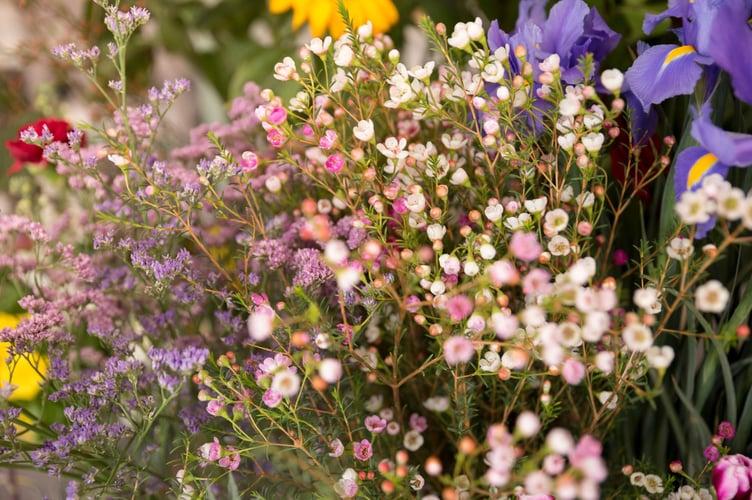 Two volunteer gardening sessions will take place in Liskeard on May 21 under Cornwall Council’s Urban Green Shoots initiative (Picture: Freepik)