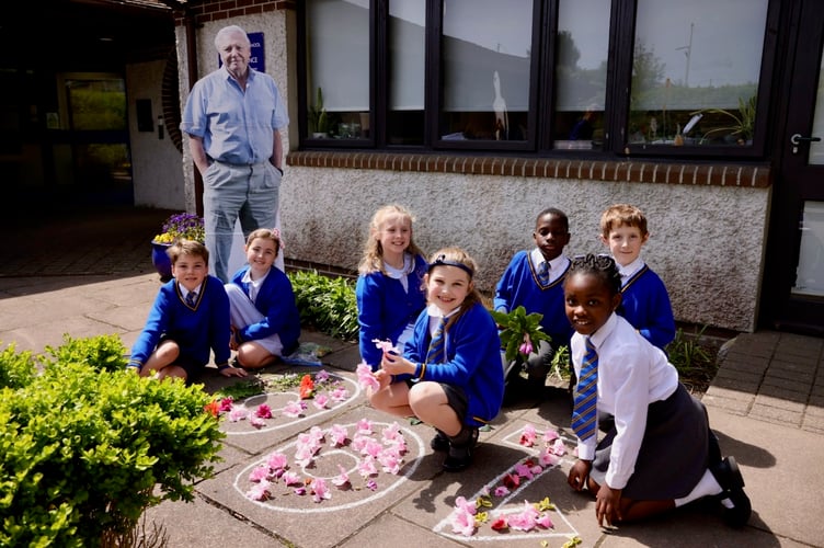 Mount Charles School pupils created a 100 mural using flower petals