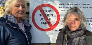 Campaigners blast solar "gold rush"