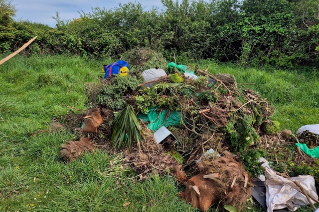 Public alert issued over illegal dumping in Rame Peninsula
