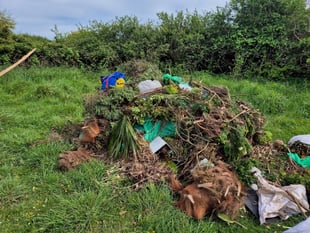 Public alert issued over illegal dumping in Rame Peninsula