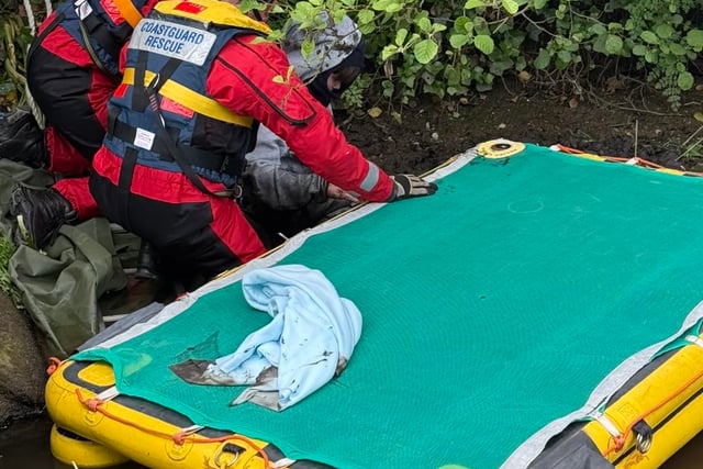 Man stuck up to his waist in mud