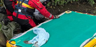 Man stuck up to his waist in mud