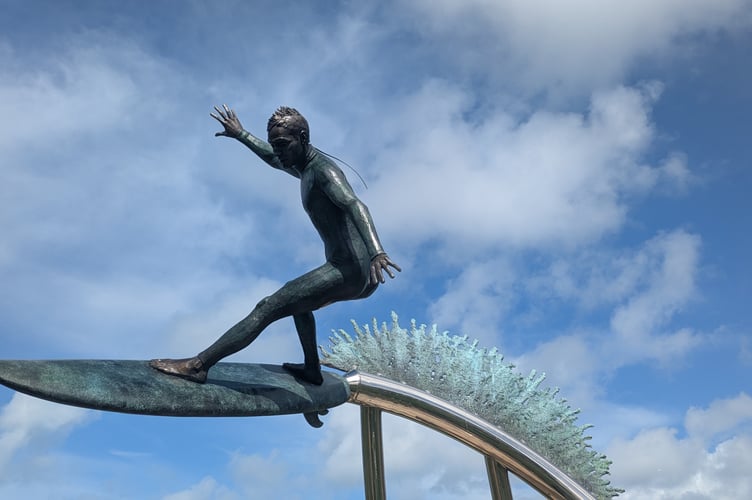 The Surfer of the South (Picture: Warren Wilkins)
