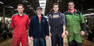 Ladock dairy farm to host landmark open day 