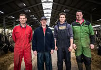 Ladock dairy farm to host landmark Gold Cup Open Day