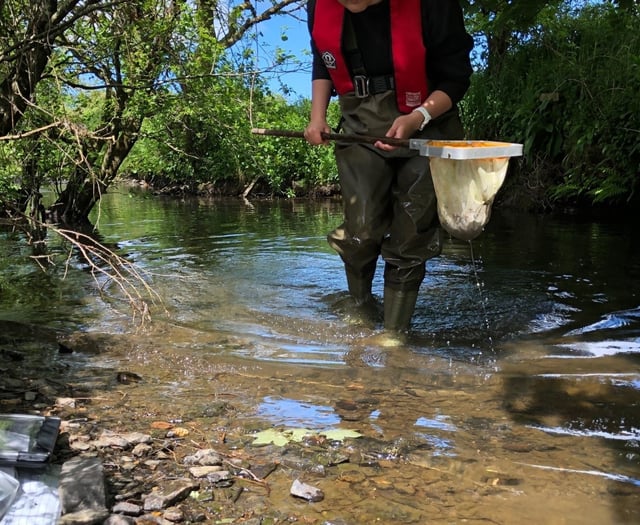 Cornwall farmer fined £3,765 for River Ottery pollution