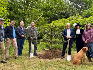 Monkey-puzzle tree planted at Pencarrow