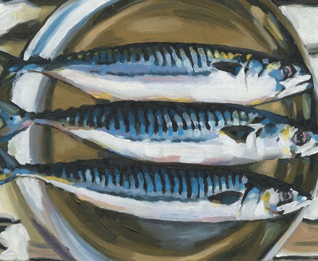 Cornucopia of colour and creativity as Open Studios commences 