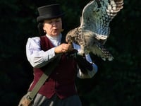 Victorian falconry at Trelissick Gardens