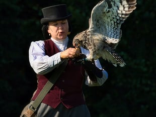Victorian falconry at Trelissick Gardens