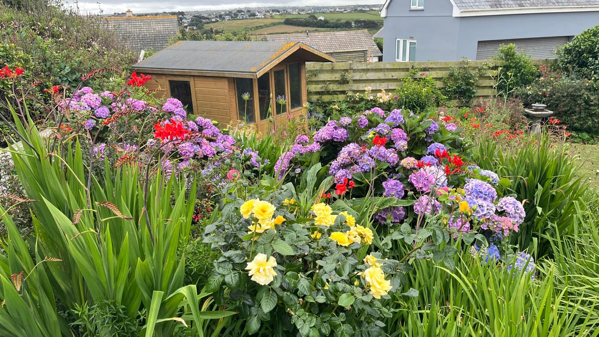Community invited to enter their gardens for competition