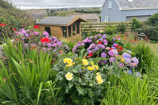 Community invited to enter their gardens for competition