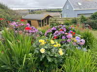 Community invited to enter their gardens for competition