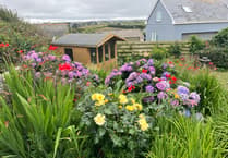 Community invited to enter their gardens for competition