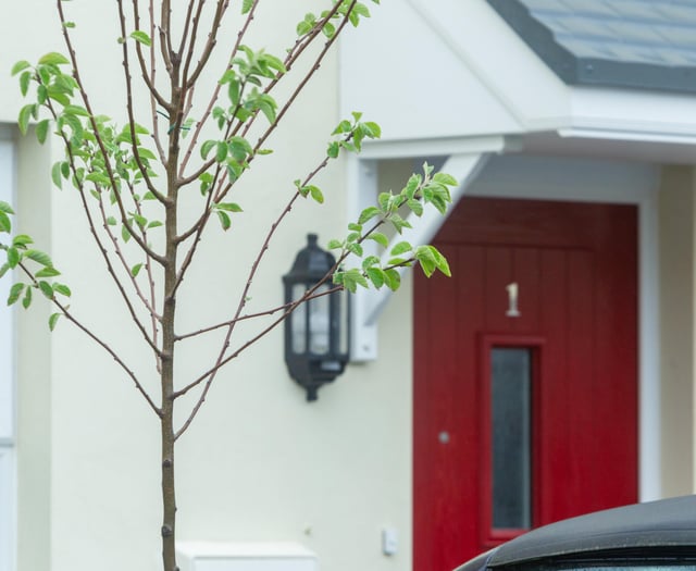 Work soon to begin on 175 new homes
