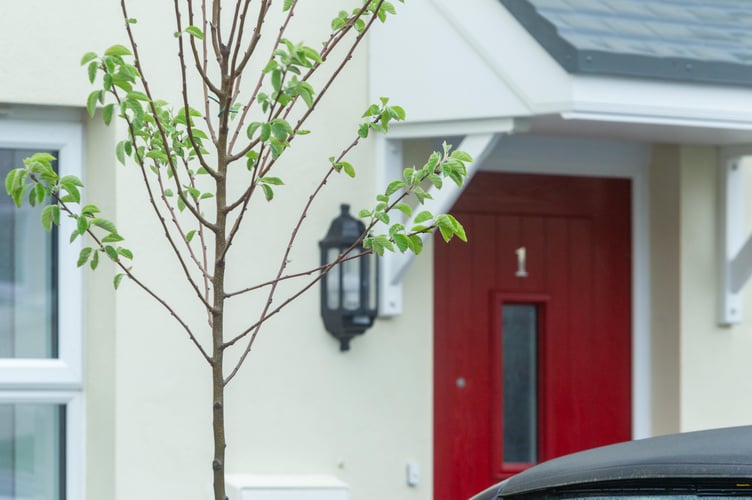 LiveWest is using national funding to deliver homes for social rent.