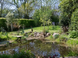 Lostwithiel garden to host charity open day