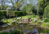 Lostwithiel garden to host charity open day