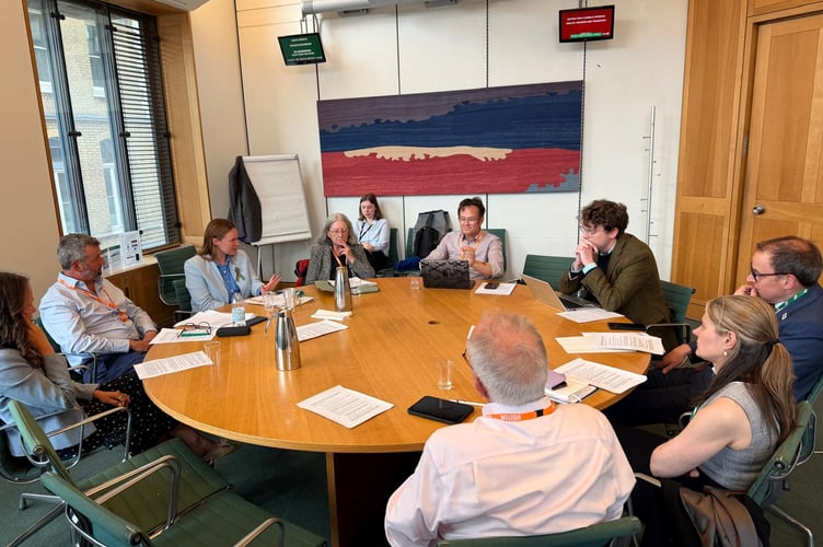 Liskeard-based charity Histio UK brought together MPs, clinicians, patients and parents for detailed discussions on the challenges facing people diagnosed with histiocytosis