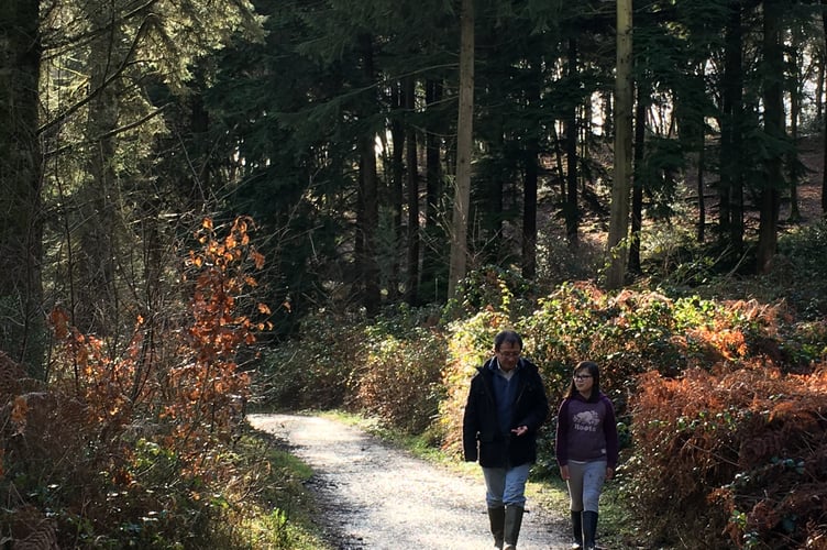 Walkers in Idless Woods, near Truro (Picture: Kirstie Newton)