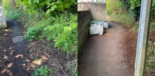 NCB Radio: From weeds to big lunches - a community bulletin