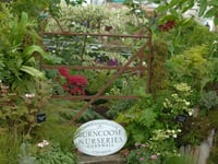 Burncoose wins gold at Chelsea Flower Show