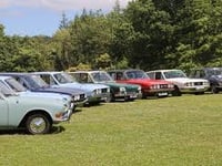 Greatest gathering of classic car to be staged for charity