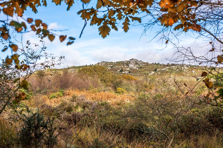 Helman Tor (Picture: Cornwall Wildlife Trust)