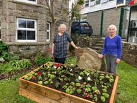 Flower arrangement to bloom for twinning anniversary