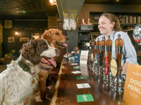Could you judge Cornwall's dog-friendly pubs?