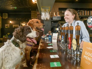 Could you judge Cornwall's dog-friendly pubs?
