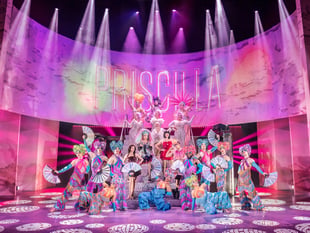 Interview: Priscilla Queen of the Desert at Hall for Cornwall