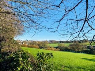 Chance to have say on big housing plan