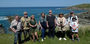 Nature enthusiasts spot abundance of wildlife